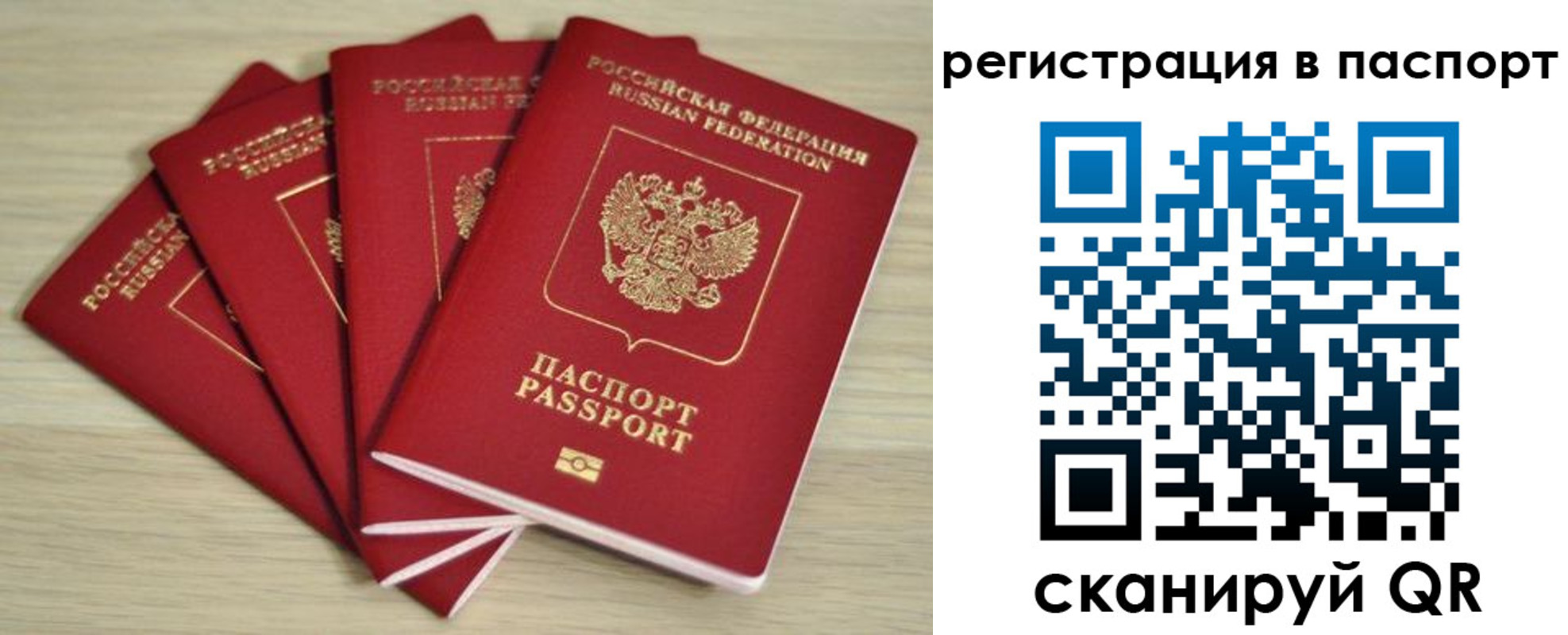 временная регистрация для школы в Александровске